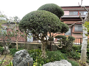 群馬県伊勢崎市下道寺町Ｔ様